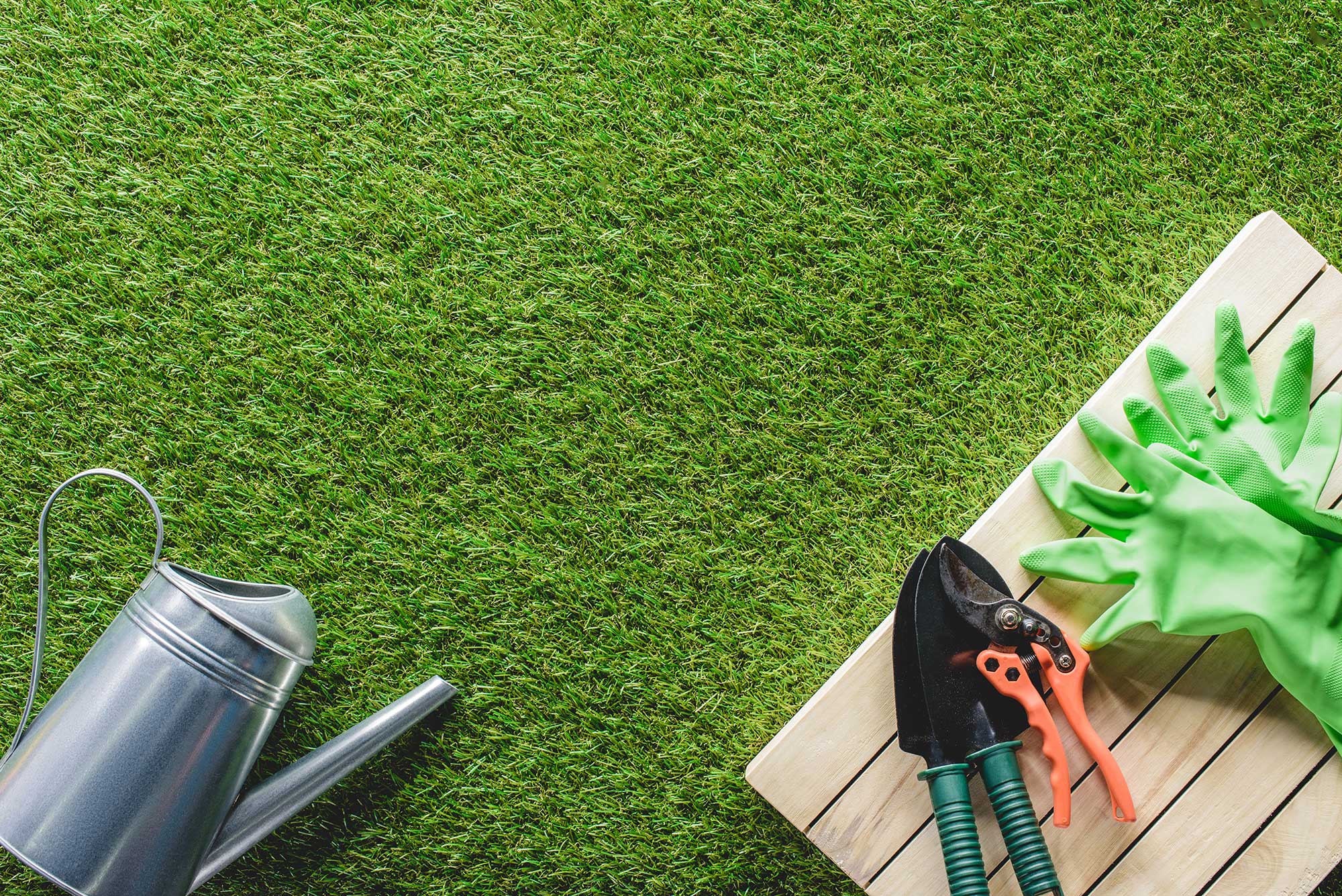 top-view-of-watering-can-shovels-secateur